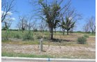 Property photo 2 - Bank Owned Real Estate Auction - McAllen